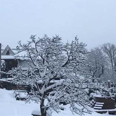 небосхил ياريمتشي